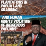 Senator ARK Minta Pemerintah Dan Perusahaan Sawit Hormati Masyarakat Adat Sorong Selatan Dan Kedepankan Dialog