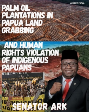 Senator ARK Minta Pemerintah Dan Perusahaan Sawit Hormati Masyarakat Adat Sorong Selatan Dan Kedepankan Dialog